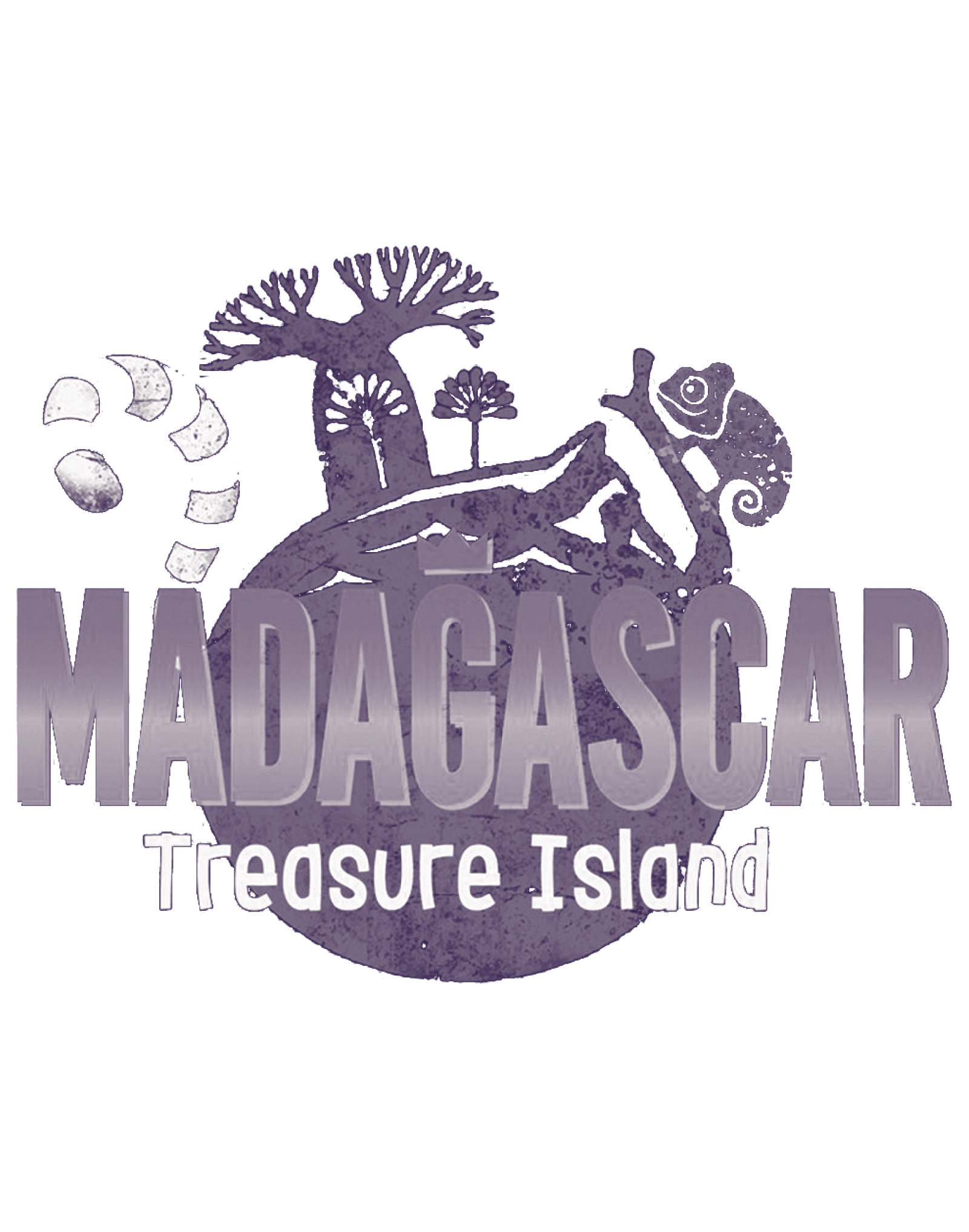 Madagascar Treasure Island
